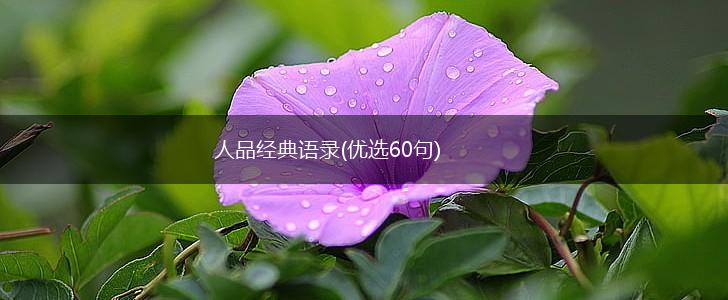 人品经典语录(优选60句),第1张