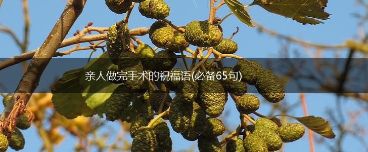 亲人做完手术的祝福语(必备65句),第1张