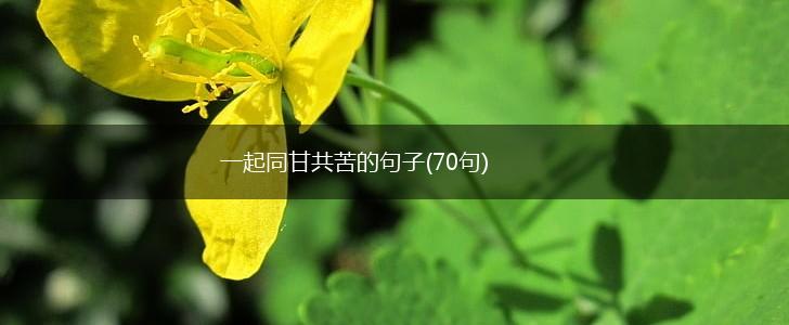 一起同甘共苦的句子(70句),第1张