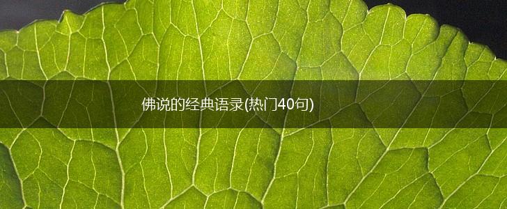 佛说的经典语录(热门40句),第1张