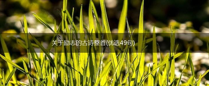 关于励志的古诗整首(优选49句),第1张