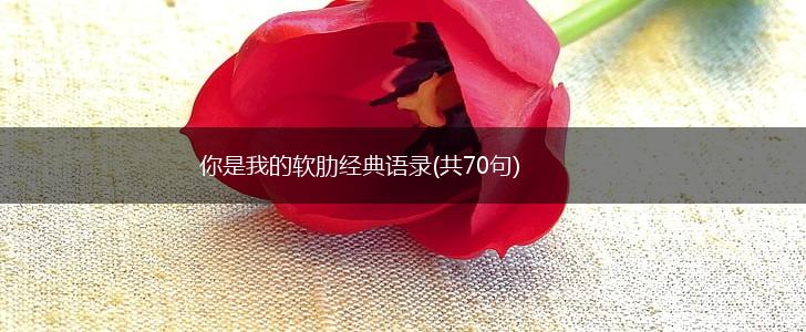 你是我的软肋经典语录(共70句),第1张