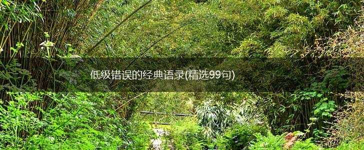 低级错误的经典语录(精选99句),第1张