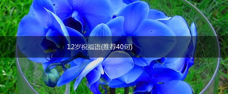 12岁祝福语(推荐40句),第1张