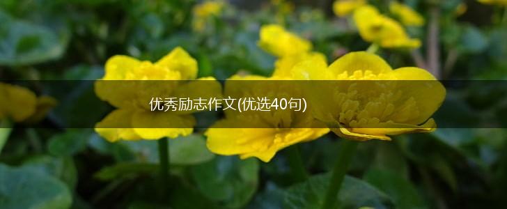 优秀励志作文(优选40句),第1张