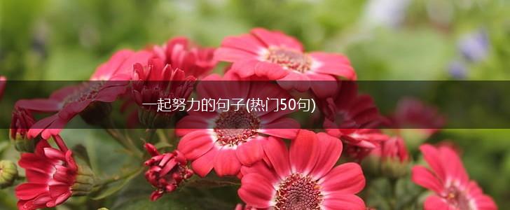 一起努力的句子(热门50句),第1张