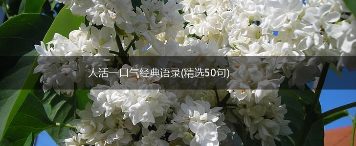 人活一口气经典语录(精选50句),第1张