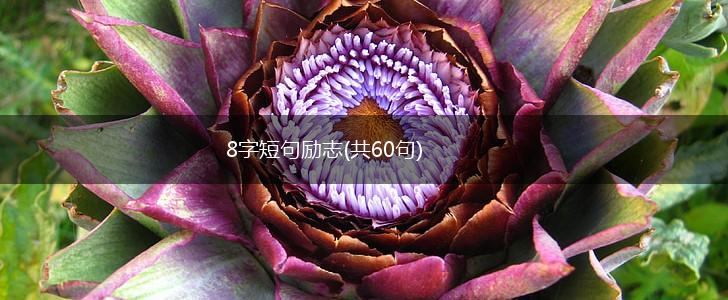 8字短句励志(共60句),第1张