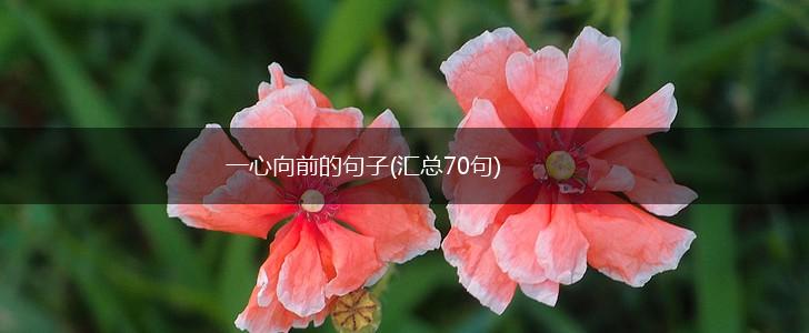 一心向前的句子(汇总70句),第1张