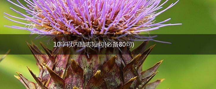 10字以内励志短句(必备80句),第1张