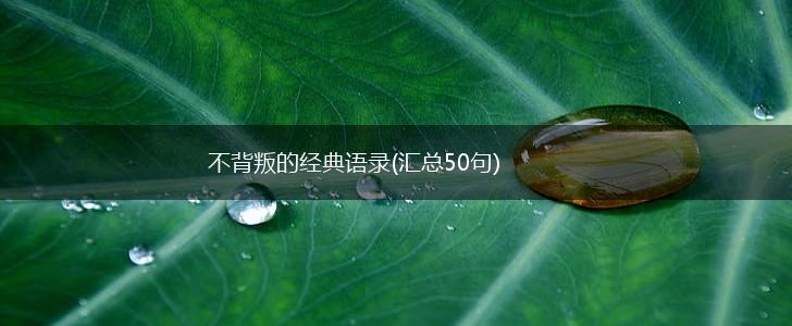 不背叛的经典语录(汇总50句),第1张