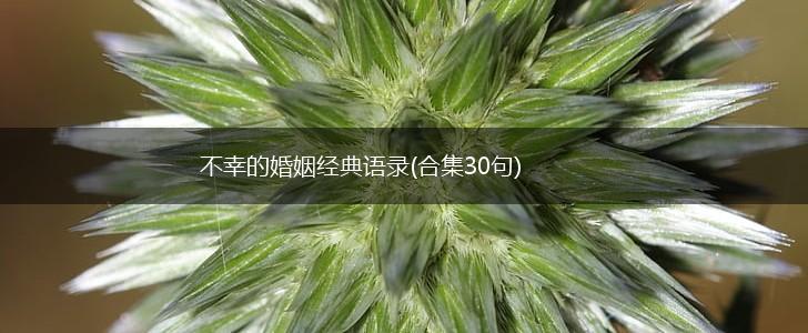不幸的婚姻经典语录(合集30句),第1张