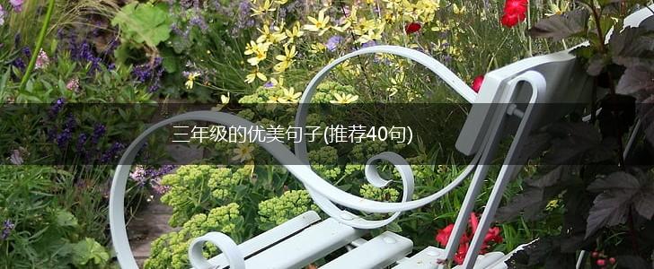 三年级的优美句子(推荐40句),第1张