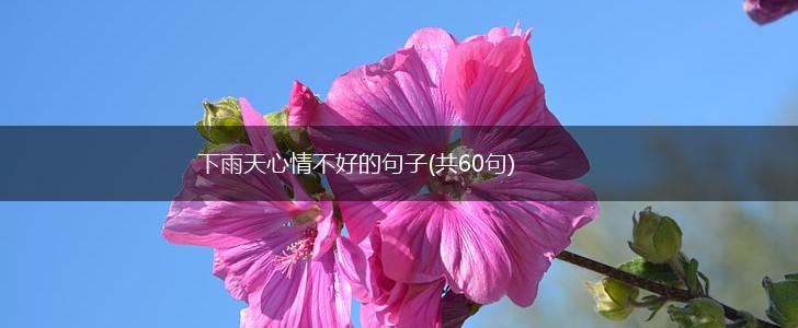 下雨天心情不好的句子(共60句),第1张