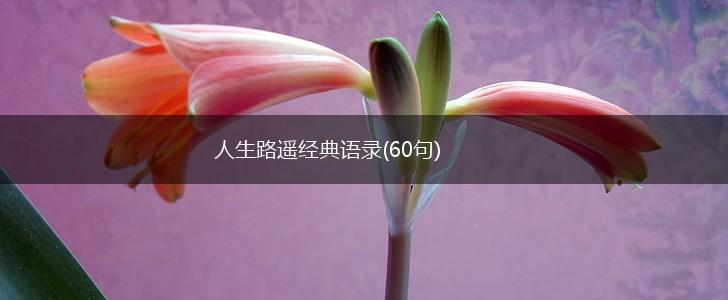 人生路遥经典语录(60句),第1张