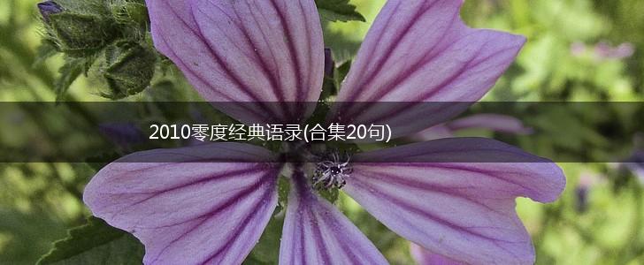 2010零度经典语录(合集20句),第1张