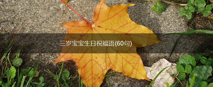 三岁宝宝生日祝福语(60句),第1张