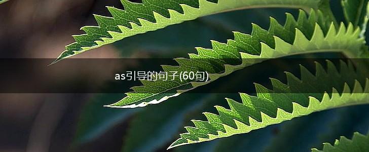 as引导的句子(60句),第1张