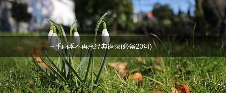 三毛雨季不再来经典语录(必备20句),第1张