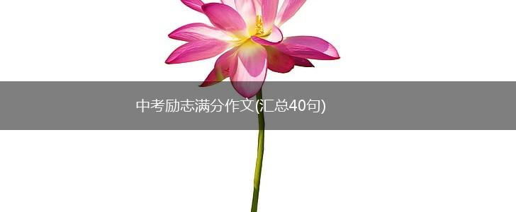 中考励志满分作文(汇总40句),第1张
