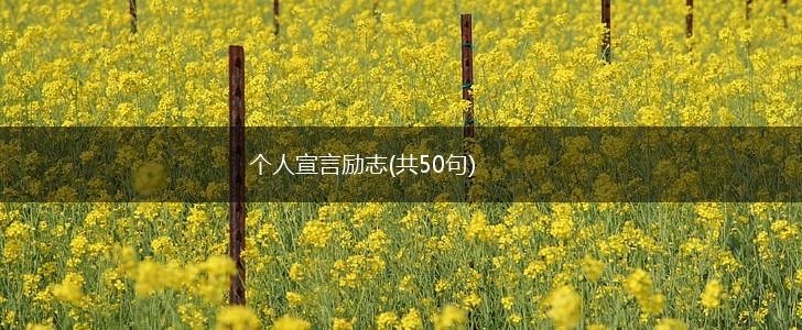 个人宣言励志(共50句),第1张