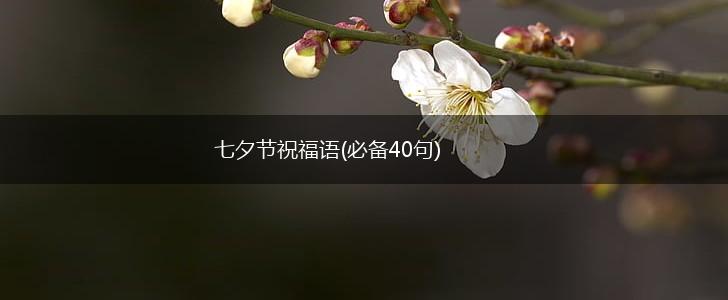 七夕节祝福语(必备40句),第1张