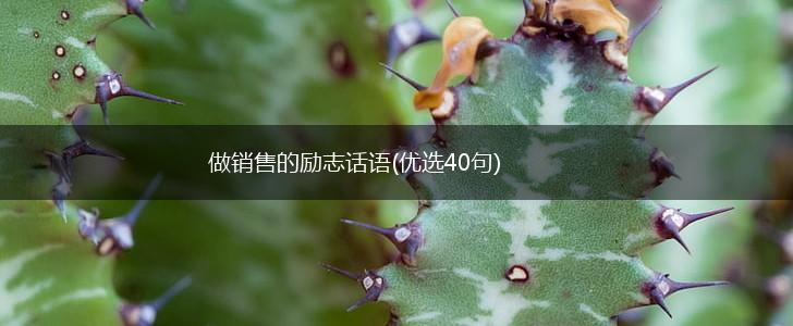 做销售的励志话语(优选40句),第1张