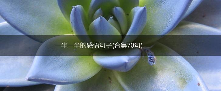 一半一半的感悟句子(合集70句),第1张