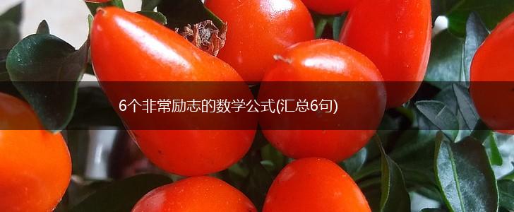 6个非常励志的数学公式(汇总6句),第1张