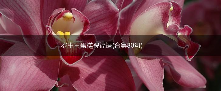 一岁生日蛋糕祝福语(合集80句),第1张