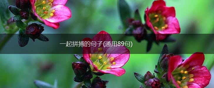一起拼搏的句子(通用89句),第1张
