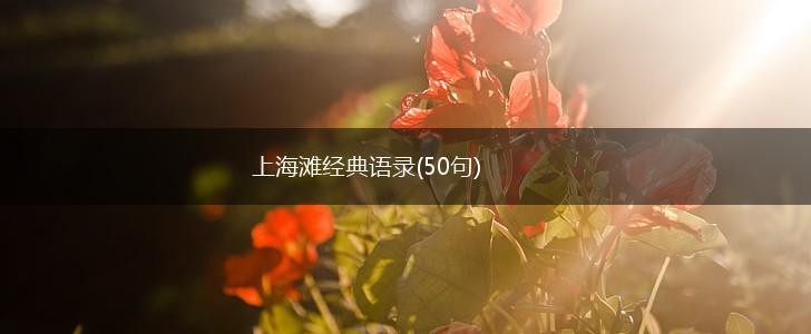 上海滩经典语录(50句),第1张