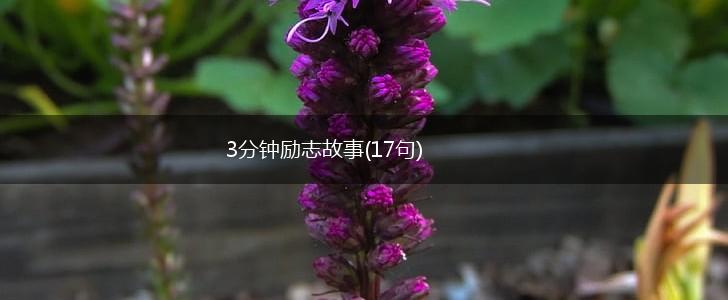 3分钟励志故事(17句),第1张