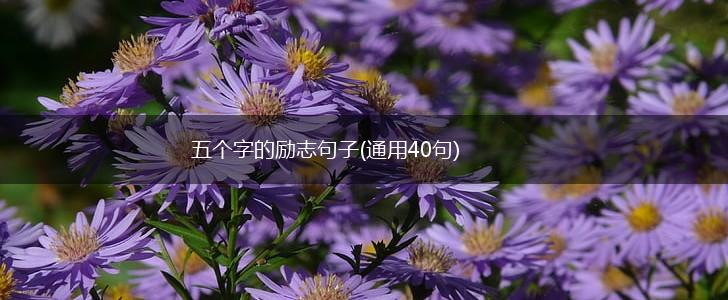 五个字的励志句子(通用40句),第1张