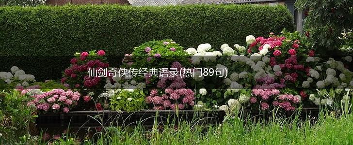 仙剑奇侠传经典语录(热门89句),第1张