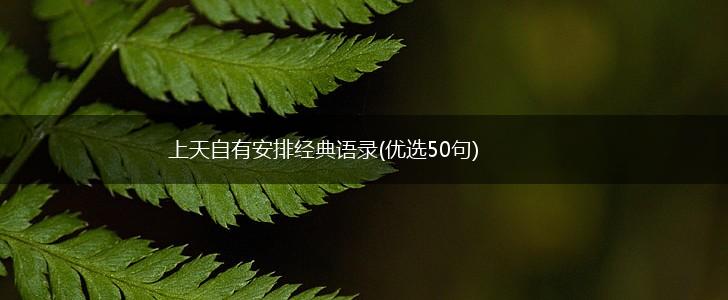 上天自有安排经典语录(优选50句),第1张