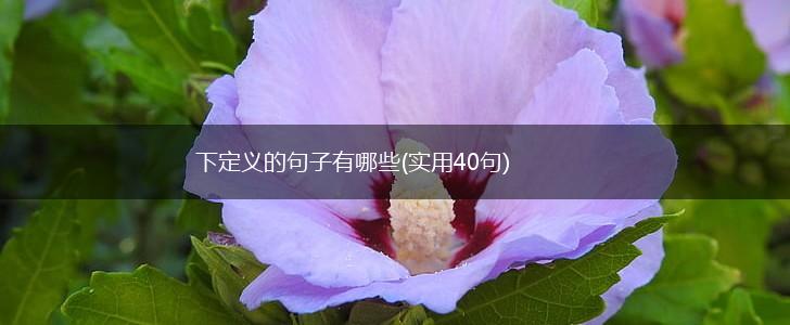 下定义的句子有哪些(实用40句),第1张