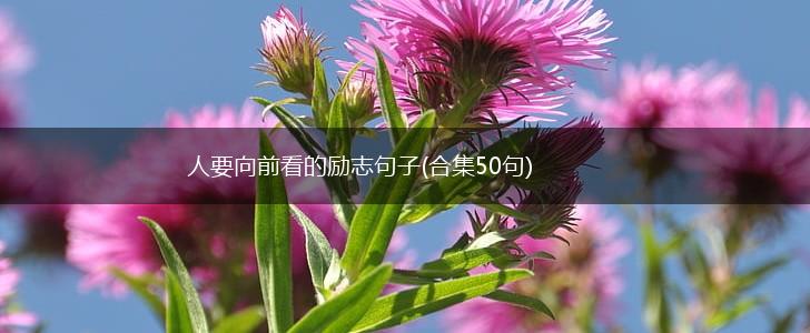 人要向前看的励志句子(合集50句),第1张