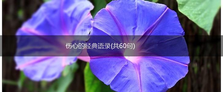 伤心的经典语录(共60句),第1张
