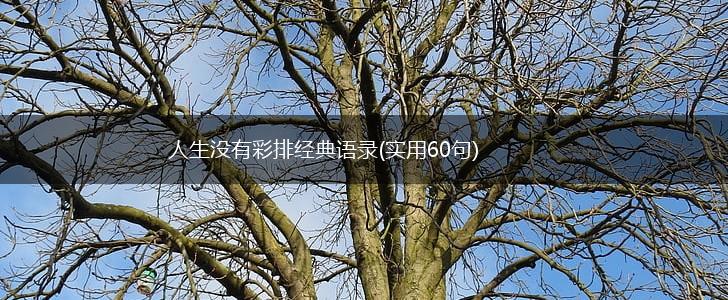 人生没有彩排经典语录(实用60句),第1张