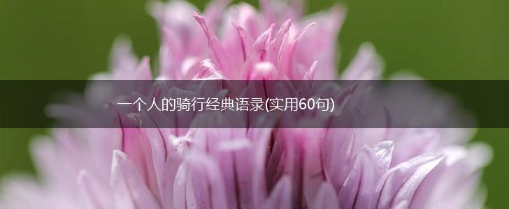 一个人的骑行经典语录(实用60句),第1张