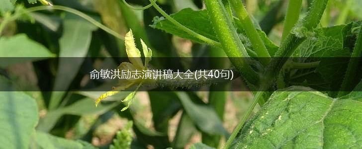 俞敏洪励志演讲稿大全(共40句),第1张