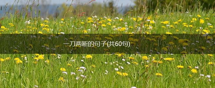 一刀两断的句子(共60句),第1张