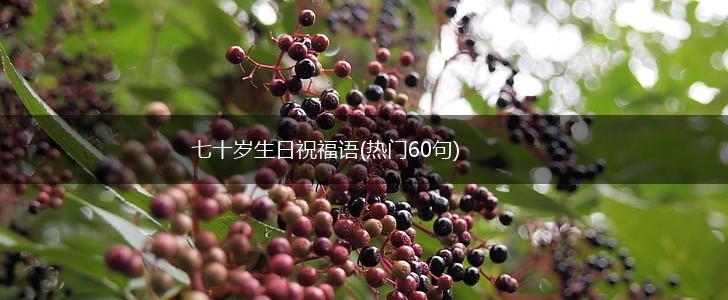 七十岁生日祝福语(热门60句),第1张