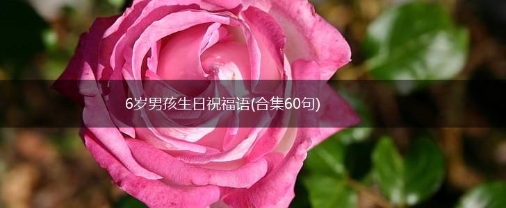 6岁男孩生日祝福语(合集60句),第1张
