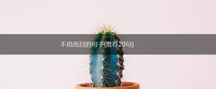 不但而且的句子(推荐20句),第1张