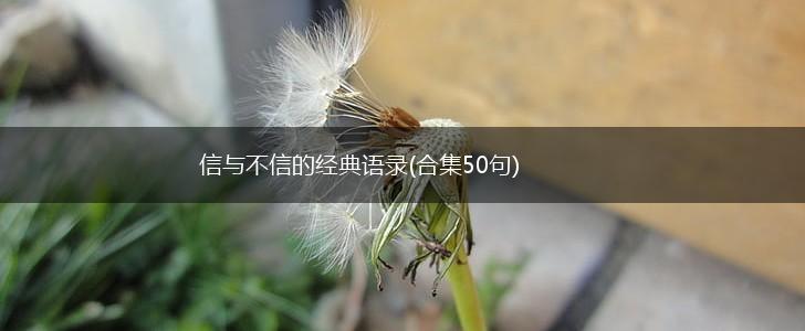信与不信的经典语录(合集50句),第1张