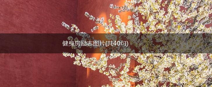 健身房励志图片(共40句),第1张