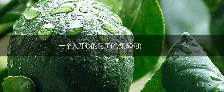 一个人开心的句子(合集60句),第1张