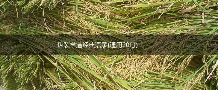 伪装学渣经典语录(通用20句),第1张